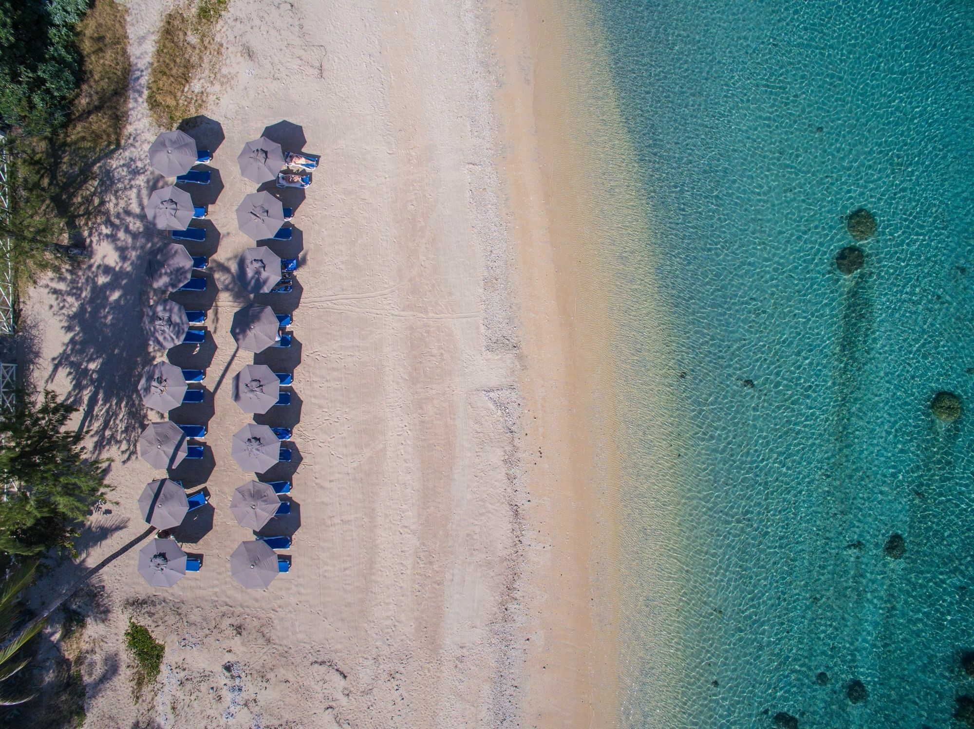 Le Nautile Beachfront Saint-Gilles-les-Bains Exterior photo
